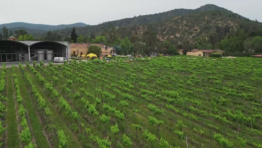 The Meeting - Asado de Emprendedores 21 de Marzo 2026